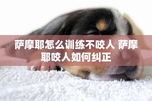 薩摩耶怎么訓練不咬人 薩摩耶咬人如何糾正