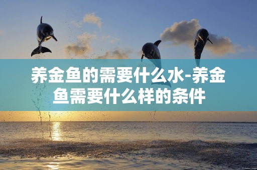 養金魚的需要什么水-養金魚需要什么樣的條件
