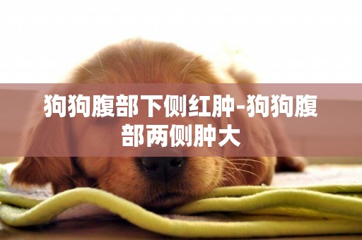 狗狗腹部下側紅腫-狗狗腹部兩側腫大