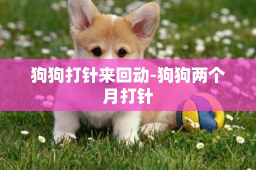 狗狗打針來回動-狗狗兩個月打針