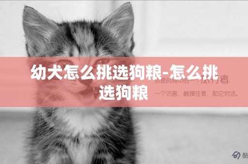 幼犬怎么挑選狗糧-怎么挑選狗糧