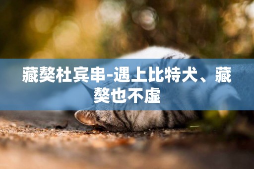 藏獒杜賓串-遇上比特犬、藏獒也不虛