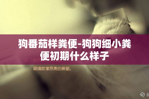 狗番茄樣糞便-狗狗細小糞便初期什么樣子