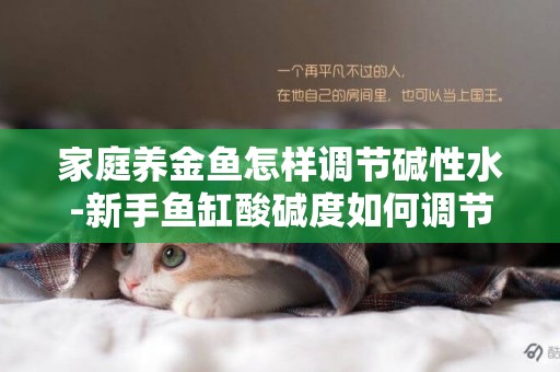 家庭養金魚怎樣調節堿性水-新手魚缸酸堿度如何調節弱堿性水質
