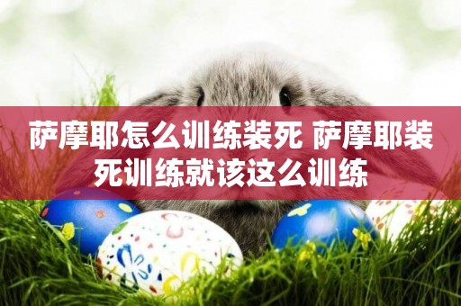 薩摩耶怎么訓練裝死 薩摩耶裝死訓練就該這么訓練