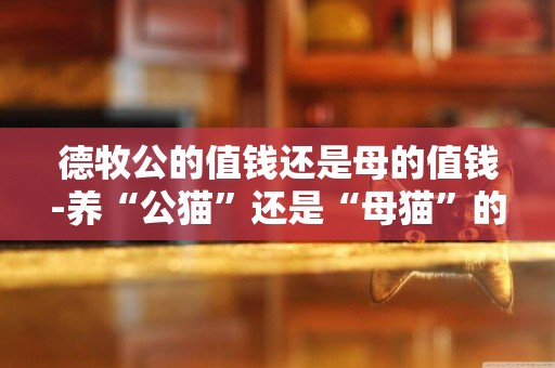 德牧公的值錢還是母的值錢-養“公貓”還是“母貓”的大匯總