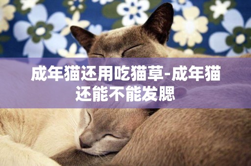 成年貓還用吃貓草-成年貓還能不能發腮