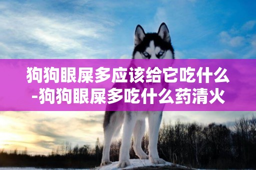 狗狗眼屎多應該給它吃什么-狗狗眼屎多吃什么藥清火