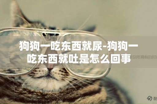 狗狗一吃東西就尿-狗狗一吃東西就吐是怎么回事