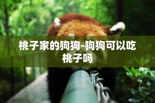 桃子家的狗狗-狗狗可以吃桃子嗎