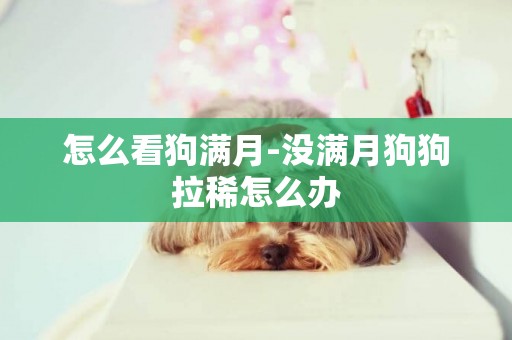 怎么看狗滿月-沒滿月狗狗拉稀怎么辦