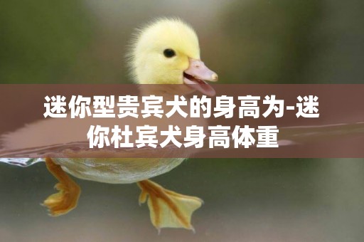 迷你型貴賓犬的身高為-迷你杜賓犬身高體重