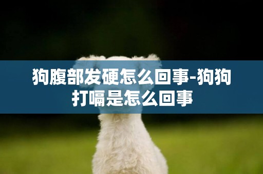 狗腹部發硬怎么回事-狗狗打嗝是怎么回事