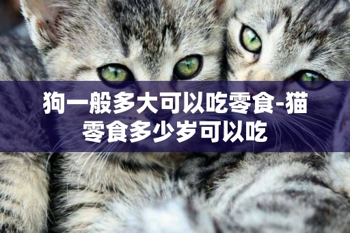 狗一般多大可以吃零食-貓零食多少歲可以吃