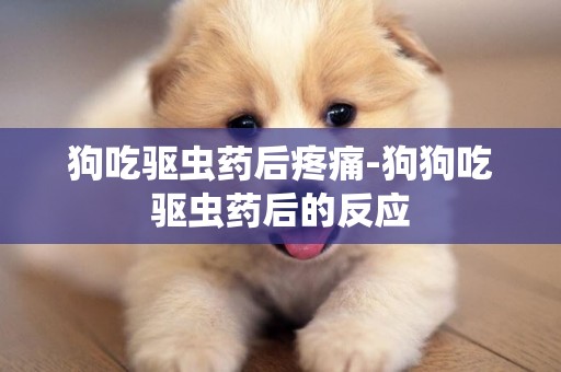 狗吃驅蟲藥后疼痛-狗狗吃驅蟲藥后的反應