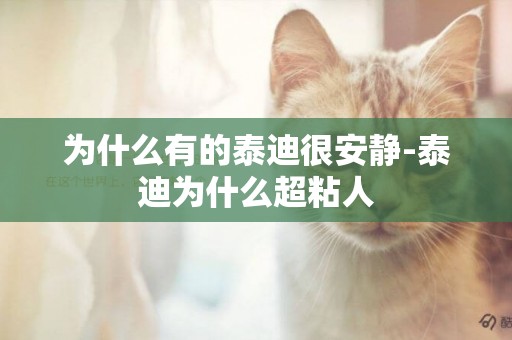 為什么有的泰迪很安靜-泰迪為什么超粘人