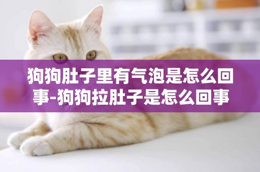 狗狗肚子里有氣泡是怎么回事-狗狗拉肚子是怎么回事