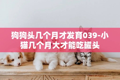 狗狗頭幾個月才發育039-小貓幾個月大才能吃罐頭
