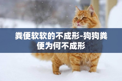 糞便軟軟的不成形-狗狗糞便為何不成形