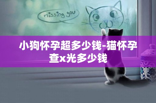 小狗懷孕超多少錢-貓懷孕查x光多少錢