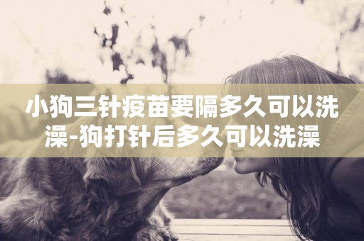 小狗三針疫苗要隔多久可以洗澡-狗打針后多久可以洗澡