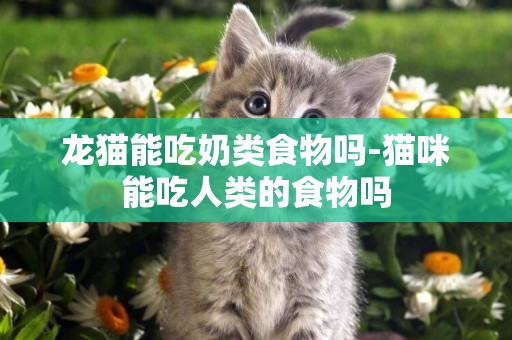 龍貓能吃奶類食物嗎-貓咪能吃人類的食物嗎