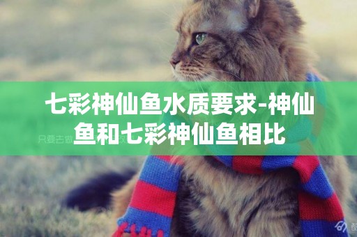 七彩神仙魚水質要求-神仙魚和七彩神仙魚相比
