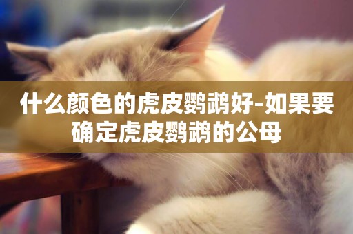 什么顏色的虎皮鸚鵡好-如果要確定虎皮鸚鵡的公母