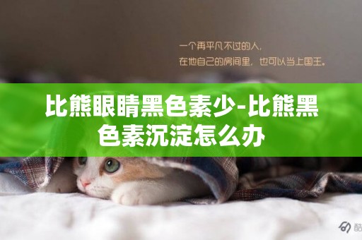 比熊眼睛黑色素少-比熊黑色素沉淀怎么辦