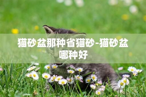 貓砂盆那種省貓砂-貓砂盆哪種好