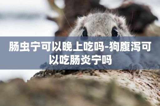 腸蟲寧可以晚上吃嗎-狗腹瀉可以吃腸炎寧嗎