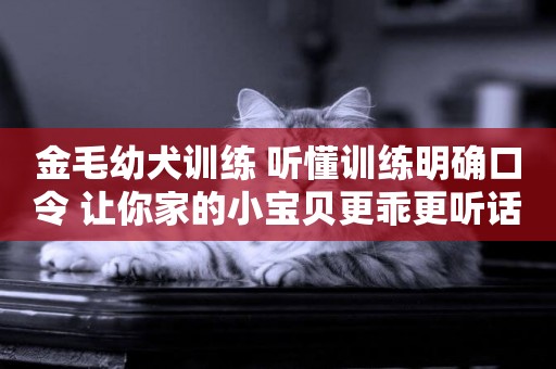 金毛幼犬訓練 聽懂訓練明確口令 讓你家的小寶貝更乖更聽話