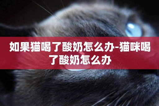 如果貓喝了酸奶怎么辦-貓咪喝了酸奶怎么辦
