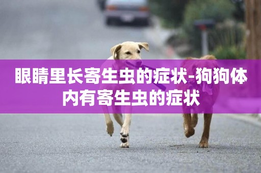 眼睛里長寄生蟲的癥狀-狗狗體內有寄生蟲的癥狀