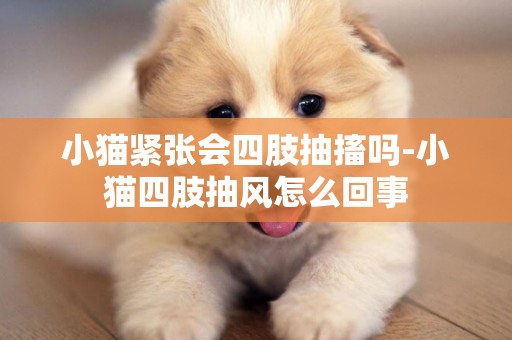 小貓緊張會四肢抽搐嗎-小貓四肢抽風怎么回事
