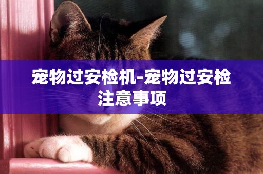 寵物過安檢機-寵物過安檢注意事項