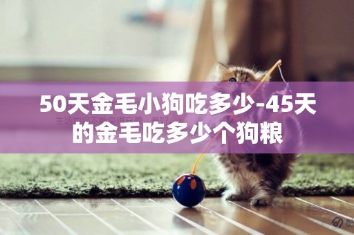 50天金毛小狗吃多少-45天的金毛吃多少個狗糧