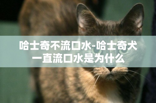 哈士奇不流口水-哈士奇犬一直流口水是為什么