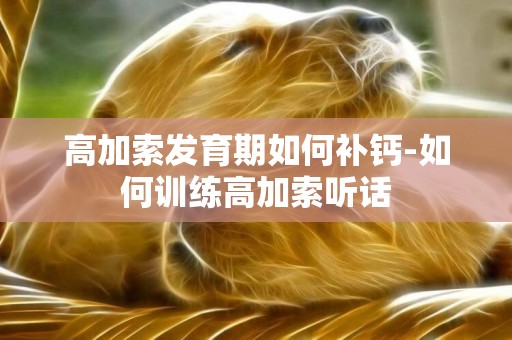 高加索發育期如何補鈣-如何訓練高加索聽話
