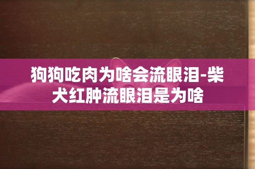 狗狗吃肉為啥會流眼淚-柴犬紅腫流眼淚是為啥