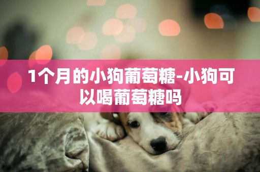 1個月的小狗葡萄糖-小狗可以喝葡萄糖嗎