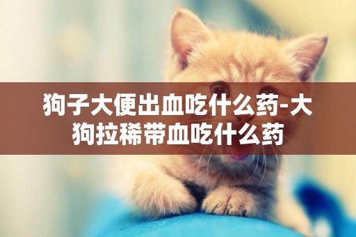 狗子大便出血吃什么藥-大狗拉稀帶血吃什么藥