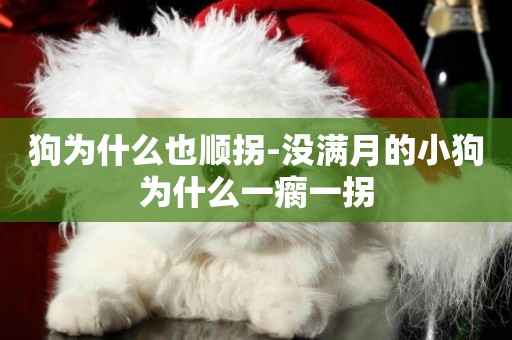 狗為什么也順拐-沒滿月的小狗為什么一瘸一拐