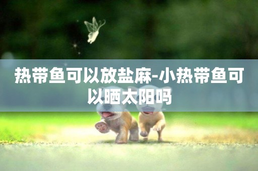 熱帶魚可以放鹽麻-小熱帶魚可以曬太陽嗎