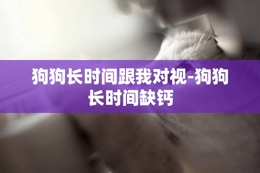 狗狗長時間跟我對視-狗狗長時間缺鈣