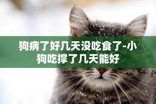 狗病了好幾天沒吃食了-小狗吃撐了幾天能好