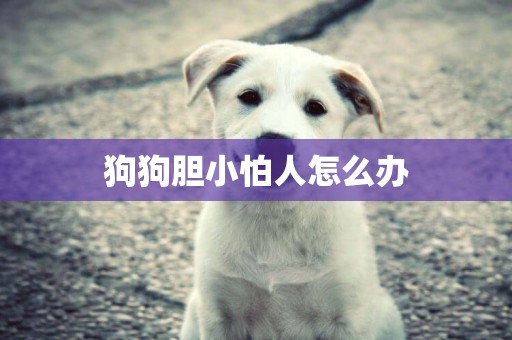 狗狗膽小怕人怎么辦