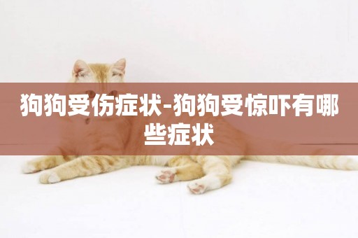 狗狗受傷癥狀-狗狗受驚嚇有哪些癥狀