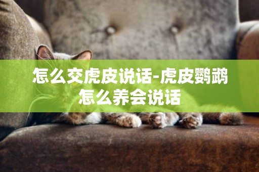 怎么交虎皮說話-虎皮鸚鵡怎么養會說話