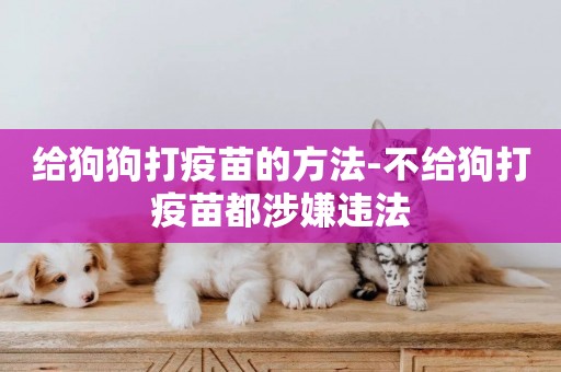 給狗狗打疫苗的方法-不給狗打疫苗都涉嫌違法